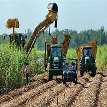 Bioenergy and Bioproducts